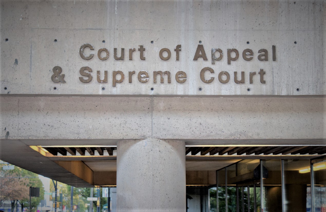 What Comes After an Appeal in a Criminal Case?